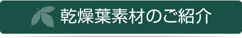 乾燥葉素材のご紹介