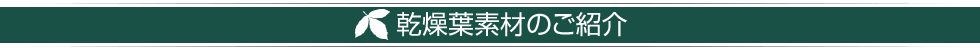 乾燥葉素材のご紹介