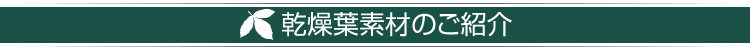 乾燥葉素材のご紹介