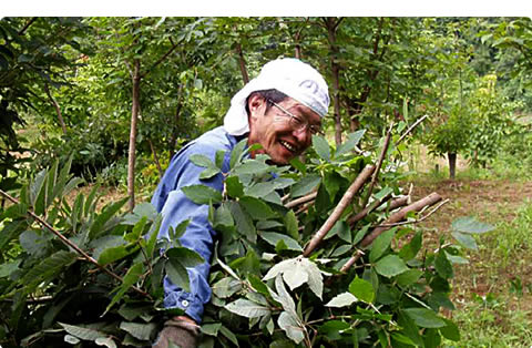 代表 柏倉 裕
