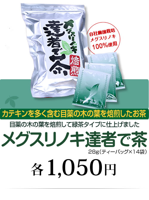 目薬の木の葉を焙煎して緑茶タイプに仕上げました　メグスリノキ達者で茶　カテキンを多く含む目薬の木の葉を焙煎したお茶