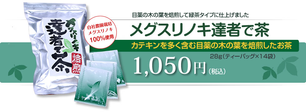 目薬の木の葉を焙煎して緑茶タイプに仕上げました　メグスリノキ達者で茶　カテキンを多く含む目薬の木の葉を焙煎したお茶