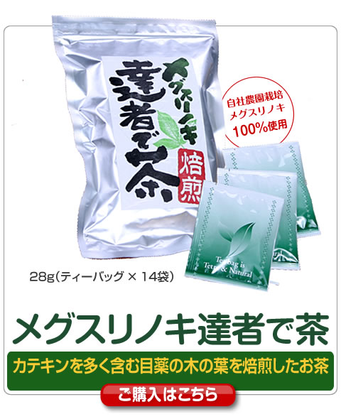 メグスリノキ達者で茶 カテキンを多く含む目薬の木の葉を焙煎したお茶