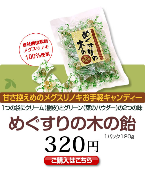 めぐすりの木の飴　1つの袋にクリーム（樹皮）とグリーン（葉のパウダー）の2つの味　甘さ控えめのメグスリノキお手軽キャンディー 320円（税込）