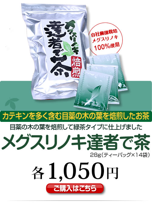 メグスリノキ達者で茶　カテキンを多く含む目薬の木の葉を焙煎したお茶　目薬の木の葉を焙煎して緑茶タイプに仕上げました　1,050円（税込）