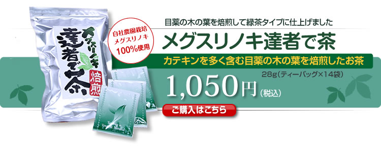 メグスリノキ達者で茶　カテキンを多く含む目薬の木の葉を焙煎したお茶　目薬の木の葉を焙煎して緑茶タイプに仕上げました　1,050円（税込）