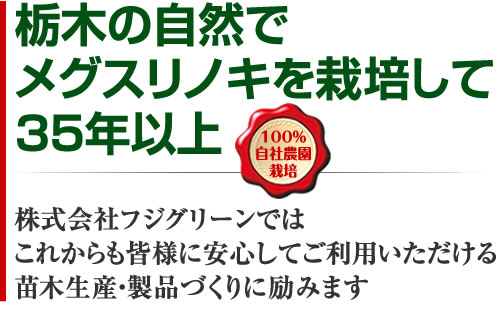 栃木の自然でメグスリノキを栽培して35年以上　株式会社フジグリーンではこれからも皆様に安心してご利用いただける苗木生産・製品づくりに励みます